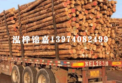 不銹鋼 六角頭法蘭細桿螺栓 細牙 小系列 GB 16674.2